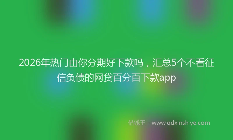 2026年热门由你分期好下款吗，汇总5个不看征信负债的网贷百分百下款app