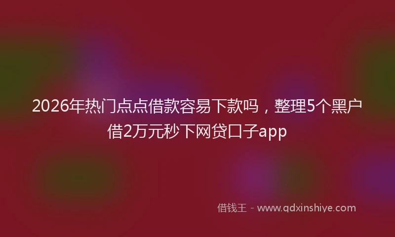 2026年热门点点借款容易下款吗，整理5个黑户借2万元秒下网贷口子app