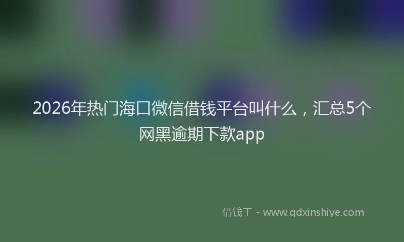 2026年热门海口微信借钱平台叫什么，汇总5个网黑逾期下款app