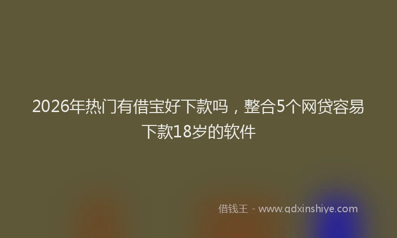 2026年热门有借宝好下款吗，整合5个网贷容易下款18岁的软件
