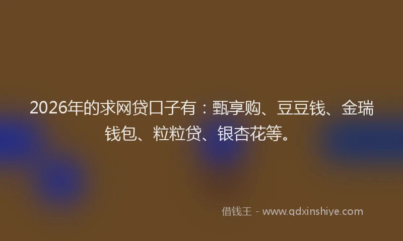 2026年的求网贷口子有：甄享购、豆豆钱、金瑞钱包、粒粒贷、银杏花等。