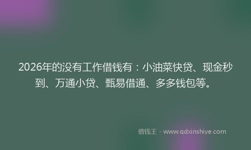 2026年的没有工作借钱有：小油菜快贷、现金秒到、万通小贷、甄易借通、多多钱包等。