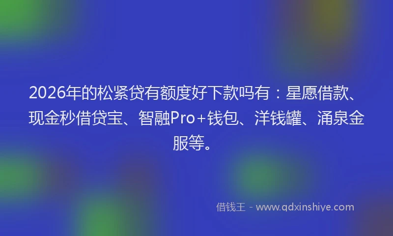 2026年的松紧贷有额度好下款吗有：星愿借款、现金秒借贷宝、智融Pro+钱包、洋钱罐、涌泉金服等。