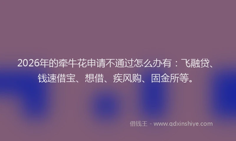 2026年的牵牛花申请不通过怎么办有：飞融贷、钱速借宝、想借、疾风购、固金所等。