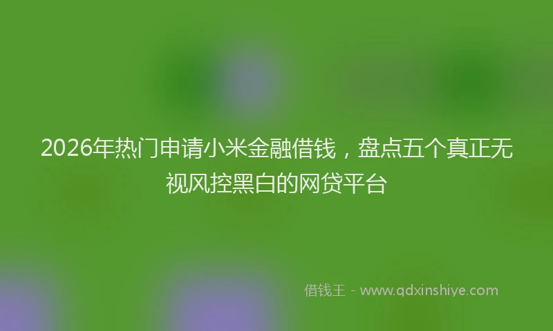 2026年热门申请小米金融借钱，盘点五个真正无视风控黑白的网贷平台