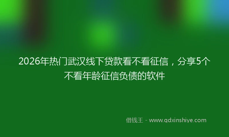2026年热门武汉线下贷款看不看征信，分享5个不看年龄征信负债的软件