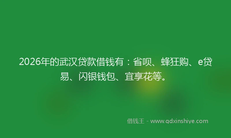 2026年的武汉贷款借钱有:省呗、蜂狂购、e贷易、闪银钱包、宜享花等。