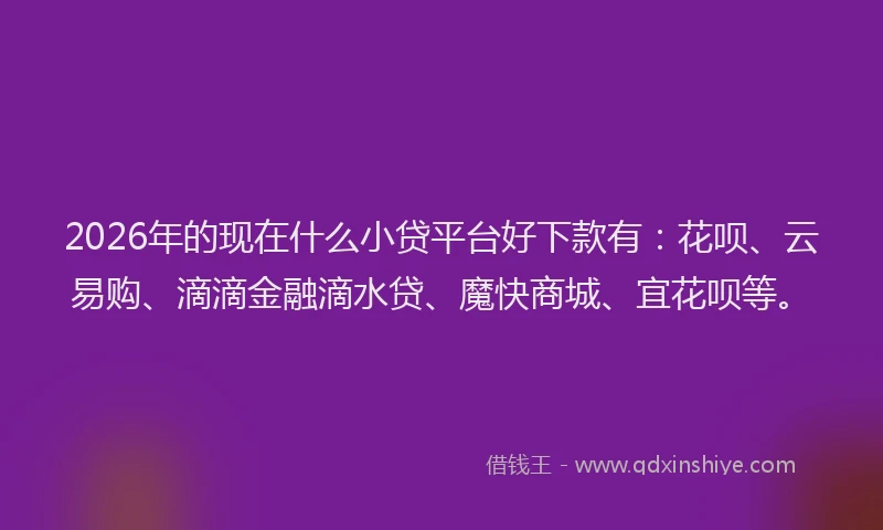 2026年的现在什么小贷平台好下款有：花呗、云易购、滴滴金融滴水贷、魔快商城、宜花呗等。