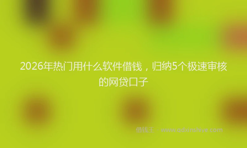 2026年热门用什么软件借钱，归纳5个极速审核的网贷口子