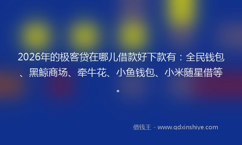 2026年的极客贷在哪儿借款好下款有：全民钱包、黑鲸商场、牵牛花、小鱼钱包、小米随星借等。
