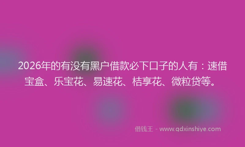 2026年的有没有黑户借款必下口子的人有：速借宝盒、乐宝花、易速花、桔享花、微粒贷等。