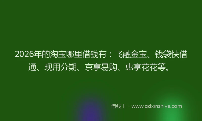 2026年的淘宝哪里借钱有：飞融金宝、钱袋快借通、现用分期、京享易购、惠享花花等。