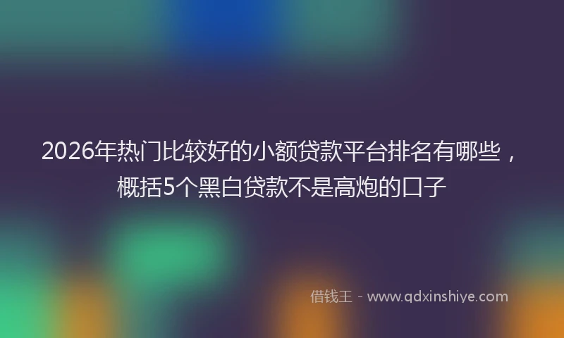 2026年热门比较好的小额贷款平台排名有哪些，概括5个黑白贷款不是高炮的口子
