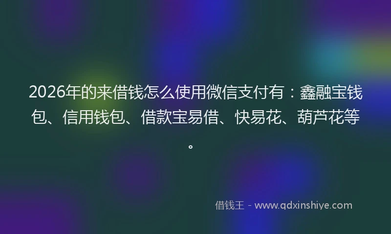 2026年的来借钱怎么使用微信支付有：鑫融宝钱包、信用钱包、借款宝易借、快易花、葫芦花等。