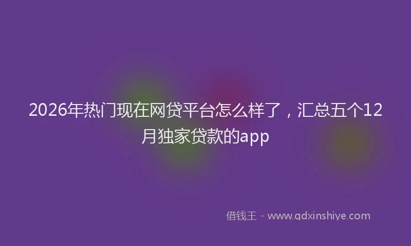 2026年热门现在网贷平台怎么样了,汇总五个12月独家贷款的app