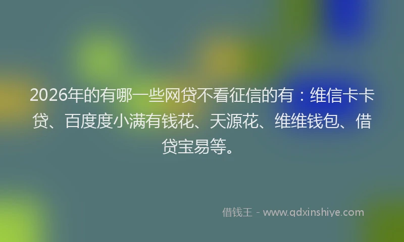 2026年的有哪一些网贷不看征信的有：维信卡卡贷、百度度小满有钱花、天源花、维维钱包、借贷宝易等。