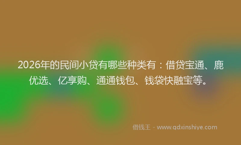 2026年的民间小贷有哪些种类有：借贷宝通、鹿优选、亿享购、通通钱包、钱袋快融宝等。
