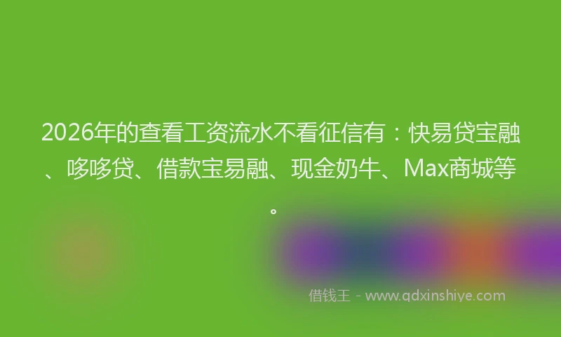 2026年的查看工资流水不看征信有：快易贷宝融、哆哆贷、借款宝易融、现金奶牛、Max商城等。