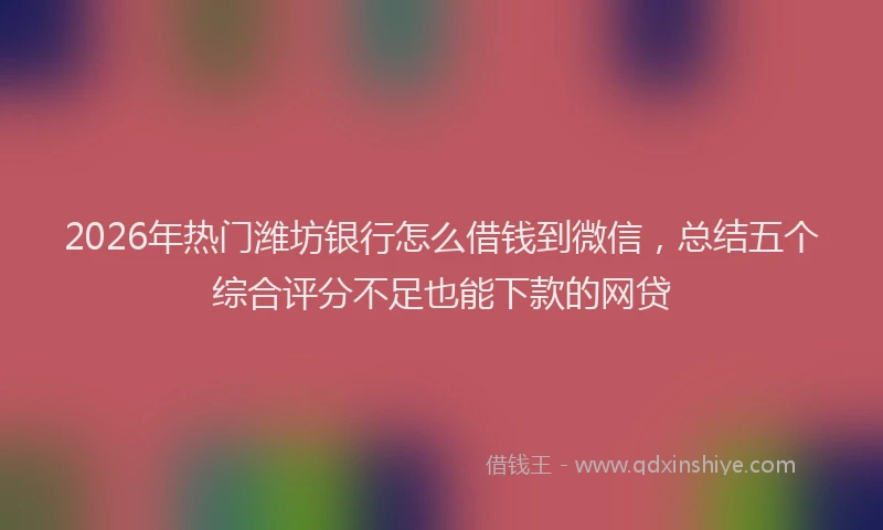 2026年热门潍坊银行怎么借钱到微信，总结五个综合评分不足也能下款的网贷