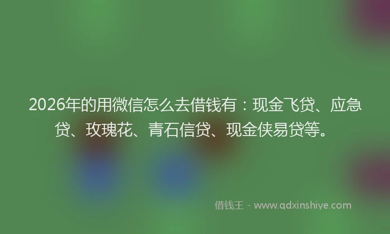 2026年的用微信怎么去借钱有：现金飞贷、应急贷、玫瑰花、青石信贷、现金侠易贷等。