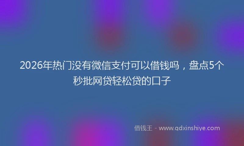 2026年热门没有微信支付可以借钱吗，盘点5个秒批网贷轻松贷的口子