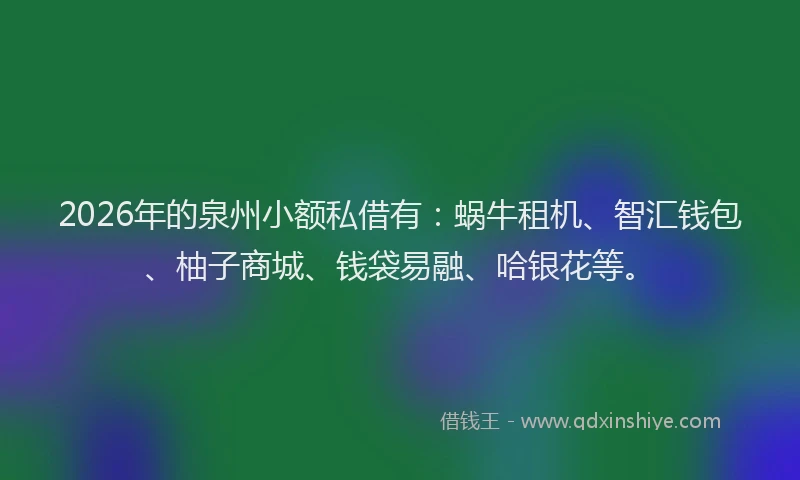 2026年的泉州小额私借有：蜗牛租机、智汇钱包、柚子商城、钱袋易融、哈银花等。