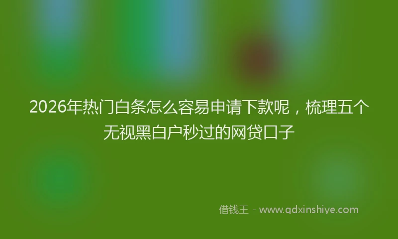2026年热门白条怎么容易申请下款呢，梳理五个无视黑白户秒过的网贷口子
