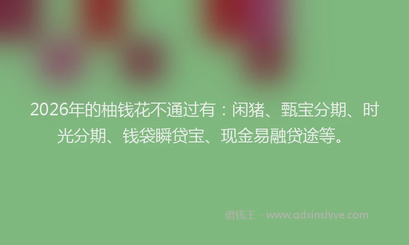 2026年的柚钱花不通过有：闲猪、甄宝分期、时光分期、钱袋瞬贷宝、现金易融贷途等。