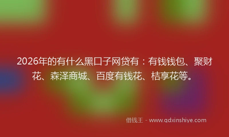 2026年的有什么黑口子网贷有：有钱钱包、聚财花、森泽商城、百度有钱花、桔享花等。