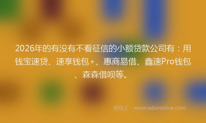 2026年的有没有不看征信的小额贷款公司有：用钱宝速贷、速享钱包+、惠商易借、鑫速Pro钱包、森森借呗等。