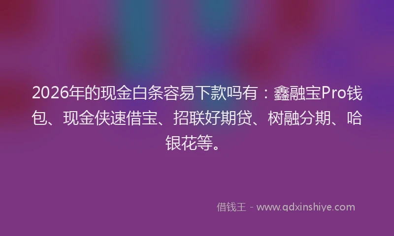 2026年的现金白条容易下款吗有:鑫融宝Pro钱包、现金侠速借宝、招联好期贷、树融分期、哈银花等。