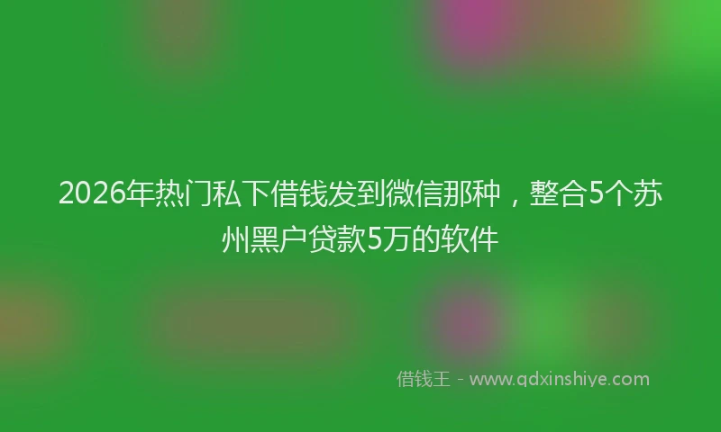 2026年热门私下借钱发到微信那种，整合5个苏州黑户贷款5万的软件