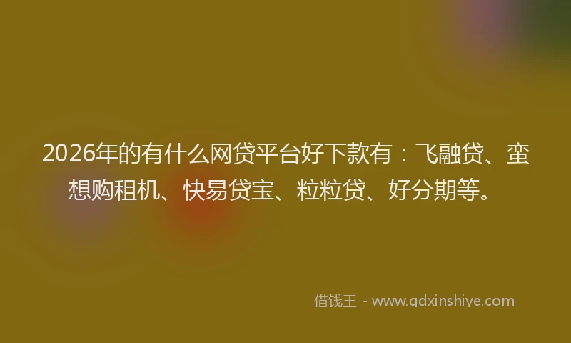 2026年的有什么网贷平台好下款有：飞融贷、蛮想购租机、快易贷宝、粒粒贷、好分期等。