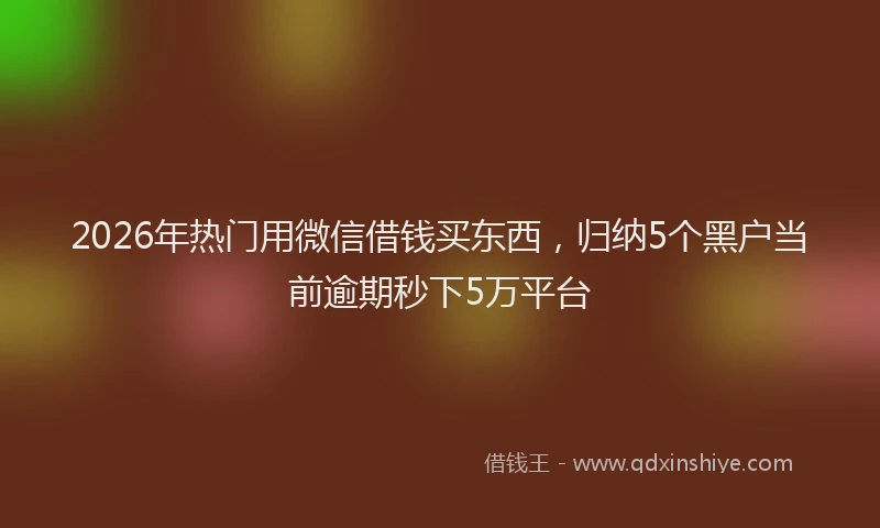 2026年热门用微信借钱买东西，归纳5个黑户当前逾期秒下5万平台
