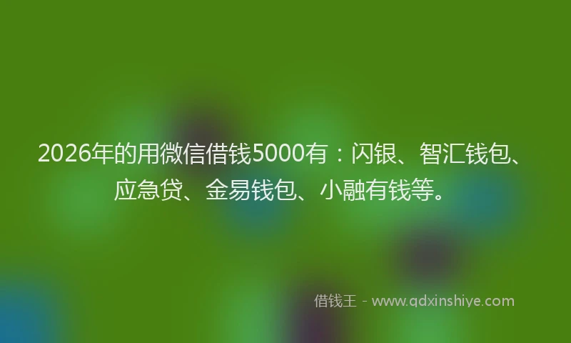 2026年的用微信借钱5000有：闪银、智汇钱包、应急贷、金易钱包、小融有钱等。