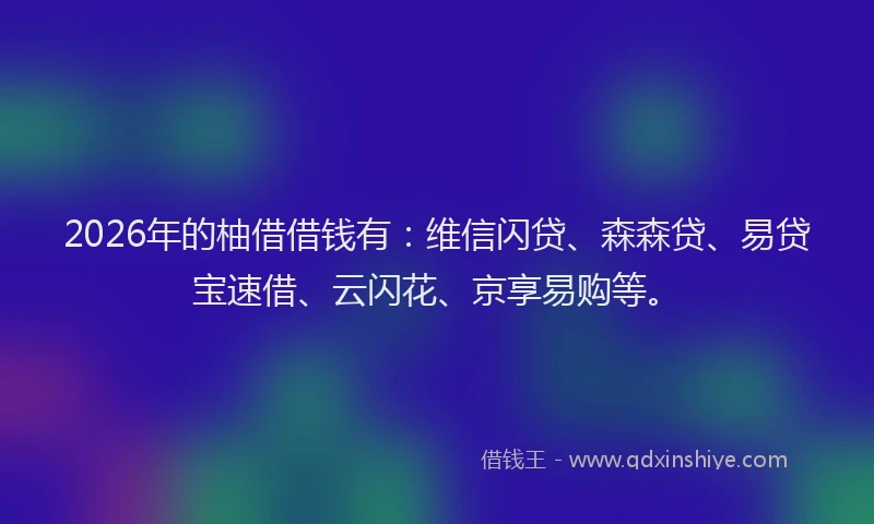 2026年的柚借借钱有：维信闪贷、森森贷、易贷宝速借、云闪花、京享易购等。