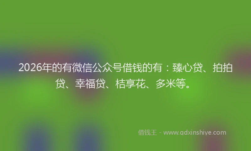 2026年的有微信公众号借钱的有：臻心贷、拍拍贷、幸福贷、桔享花、多米等。