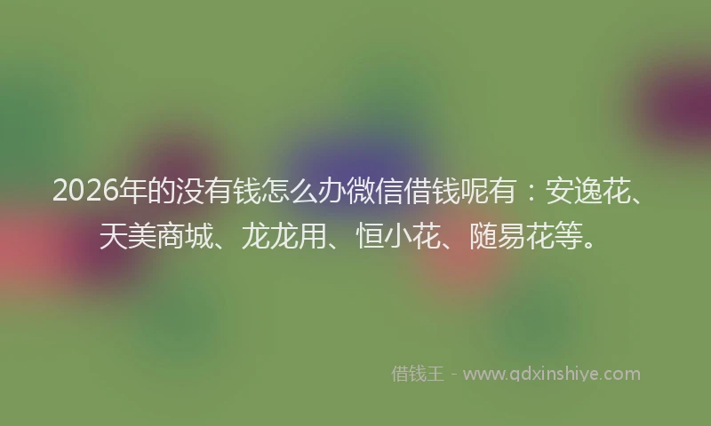 2026年的没有钱怎么办微信借钱呢有：安逸花、天美商城、龙龙用、恒小花、随易花等。