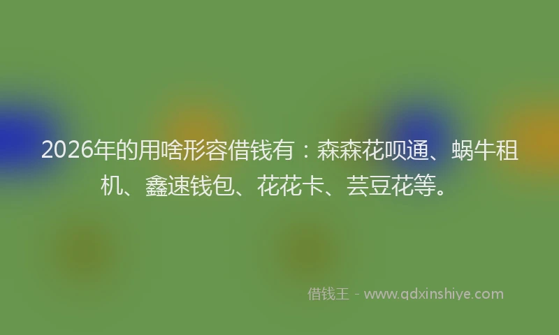 2026年的用啥形容借钱有：森森花呗通、蜗牛租机、鑫速钱包、花花卡、芸豆花等。
