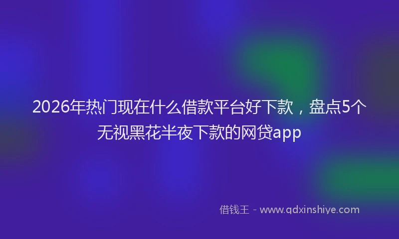 2026年热门现在什么借款平台好下款，盘点5个无视黑花半夜下款的网贷app
