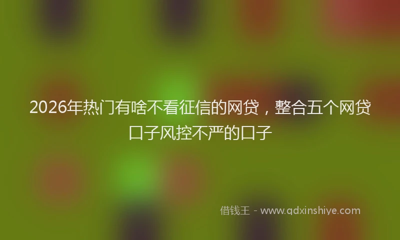 2026年热门有啥不看征信的网贷,整合五个网贷口子风控不严的口子