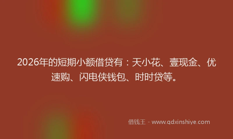 2026年的短期小额借贷有：天小花、壹现金、优速购、闪电侠钱包、时时贷等。