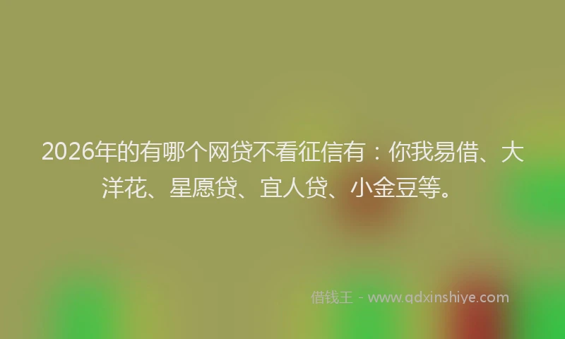 2026年的有哪个网贷不看征信有：你我易借、大洋花、星愿贷、宜人贷、小金豆等。