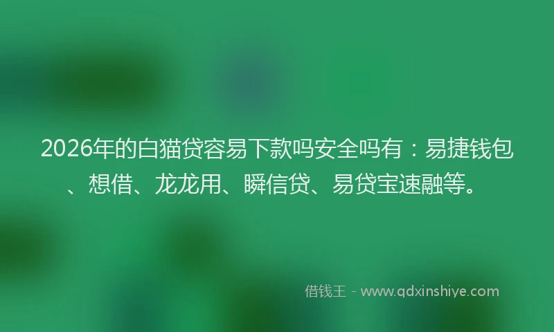 2026年的白猫贷容易下款吗安全吗有：易捷钱包、想借、龙龙用、瞬信贷、易贷宝速融等。