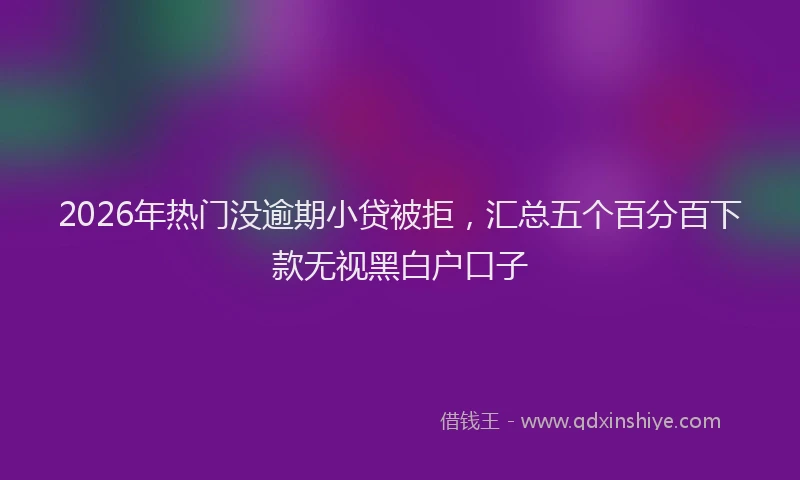 2026年热门没逾期小贷被拒，汇总五个百分百下款无视黑白户口子