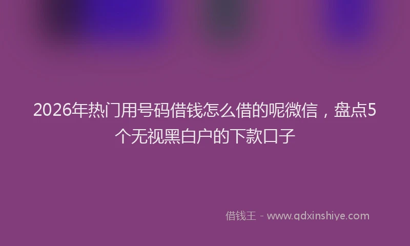 2026年热门用号码借钱怎么借的呢微信，盘点5个无视黑白户的下款口子
