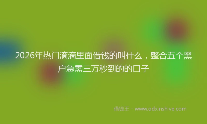 2026年热门滴滴里面借钱的叫什么，整合五个黑户急需三万秒到的的口子