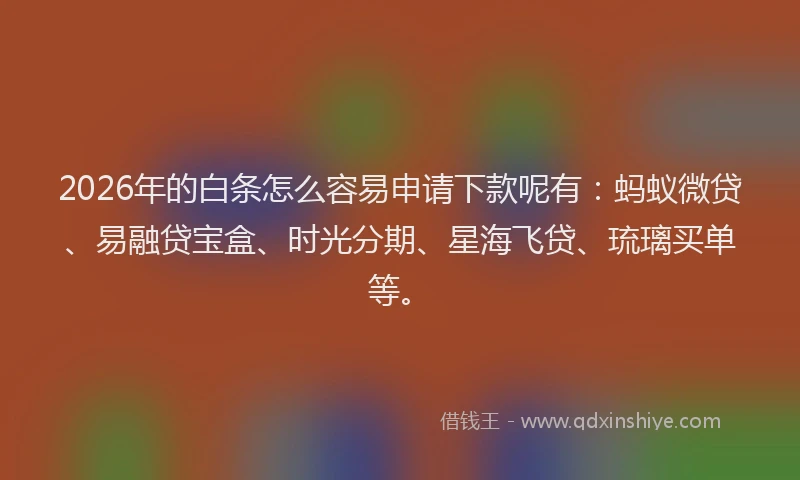 2026年的白条怎么容易申请下款呢有：蚂蚁微贷、易融贷宝盒、时光分期、星海飞贷、琉璃买单等。