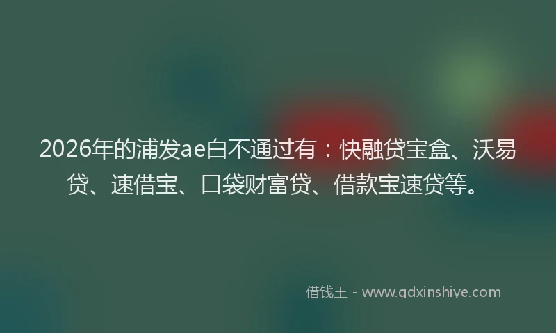 2026年的浦发ae白不通过有：快融贷宝盒、沃易贷、速借宝、口袋财富贷、借款宝速贷等。