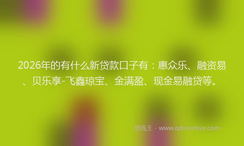 2026年的有什么新贷款口子有：惠众乐、融资易、贝乐享-飞鑫琼宝、金满盈、现金易融贷等。